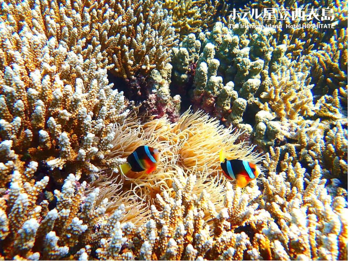 Hotel Hoshitate Iriomotejima Urauchi ภายนอก รูปภาพ